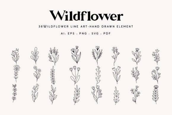 36 Wildflower Line Art Hand-Drawn Bundle Review