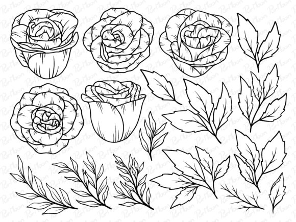 Flower Line Art Embroidery Design Review for Real Projects